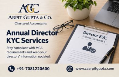 Annual Director KYC Services