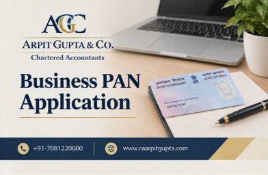 Business PAN Application