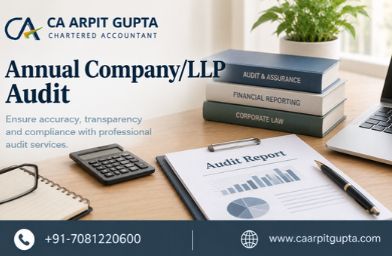 Annual Company/LLP Audit