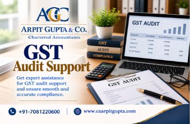 GST Audit Support