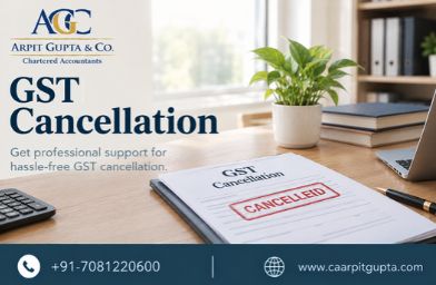 GST Cancellation Service