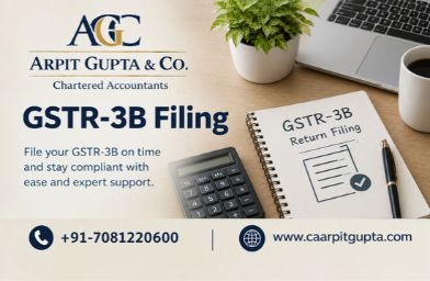 GSTR-3B Filing Services