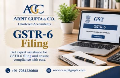 GSTR-6 Filing