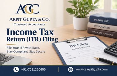 Income Tax Return Filing Services