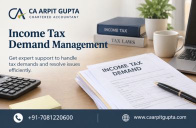 Income Tax Demand Management