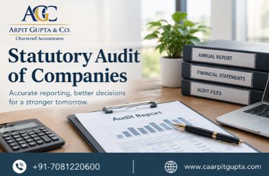 Statutory Audit of Companies