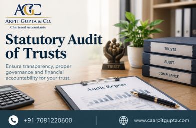 Statutory Audit of Trusts