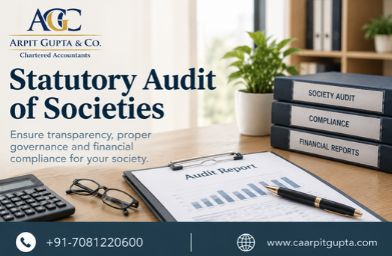 Statutory Audit of Societies