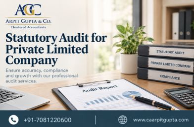 Statutory Audit for Private Limited Company