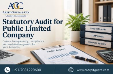 Statutory Audit for Public Limited Company