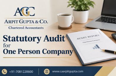 Statutory Audit for One Person Company