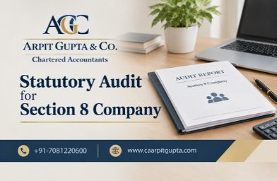 Statutory Audit for Section 8 Company