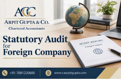 Statutory Audit for Foreign Company