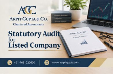 Statutory Audit for Listed Company