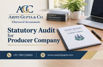 Statutory Audit for Producer Company