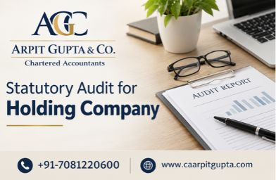 Statutory Audit for Holding Company