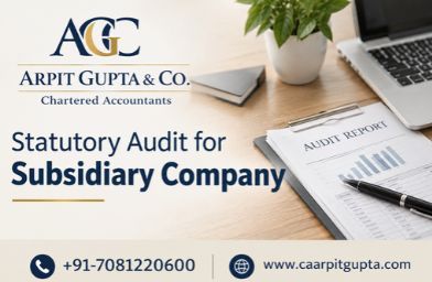 Statutory Audit for Subsidiary Company