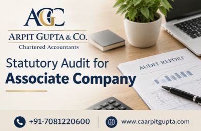 Statutory Audit for Associate Company
